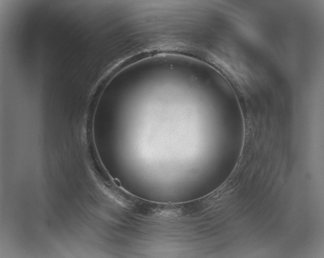 X0000073420155200607281201