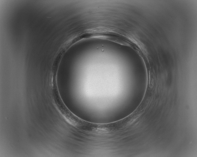 X0000073420157200607281201