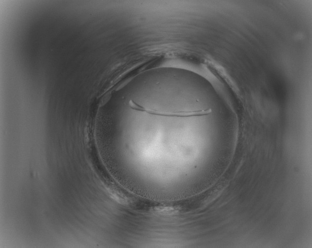 X0000073420161200607281201