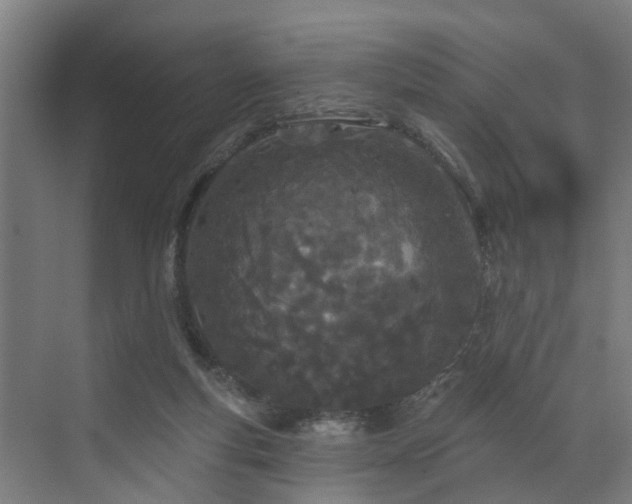 X0000073420163200607281201