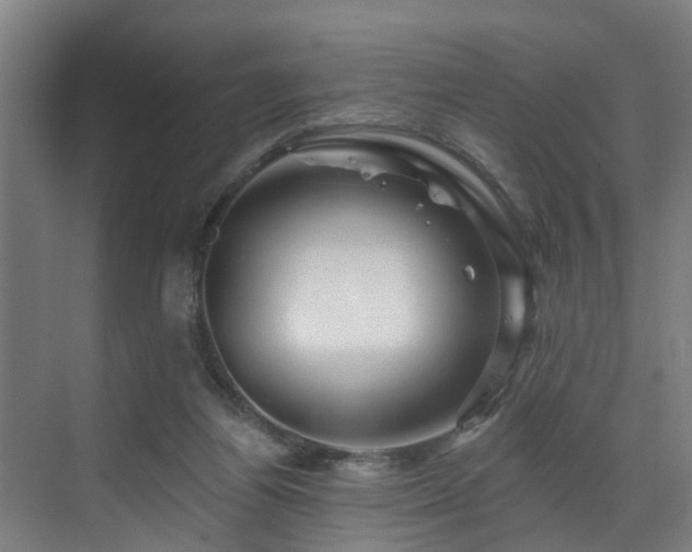 X0000073420164200607281201