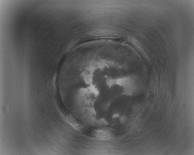 X0000073420167200607281202