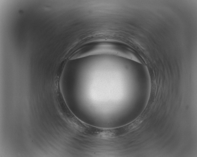 X0000073420168200607281202