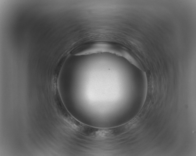 X0000073420172200607281202