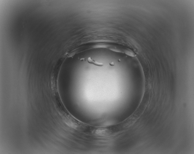 X0000073420173200607281202