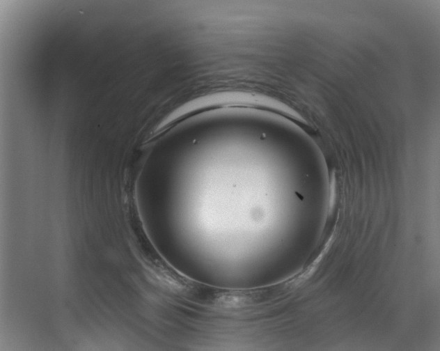 X0000073420174200607281202