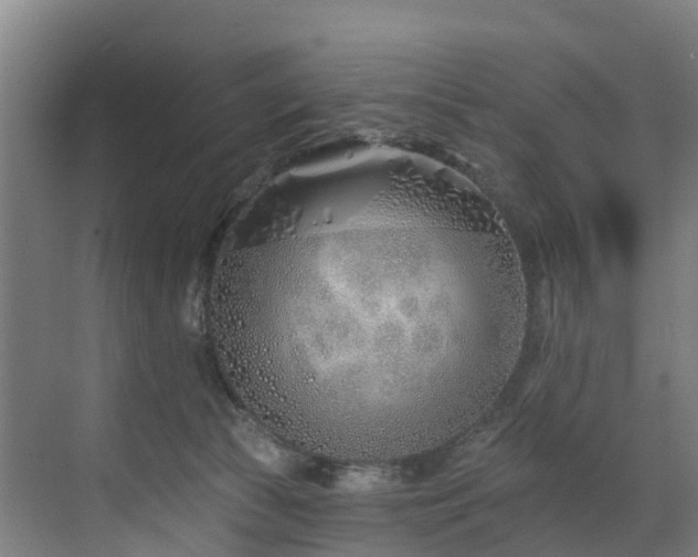 X0000073420177200607281202