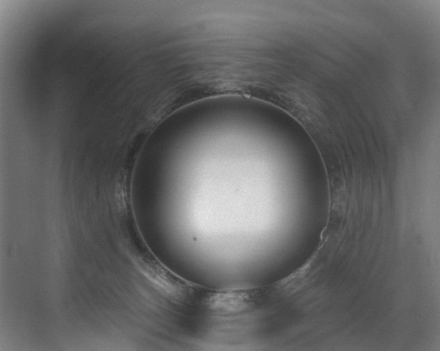 X0000073420179200607281202