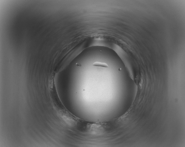 X0000073420180200607281202