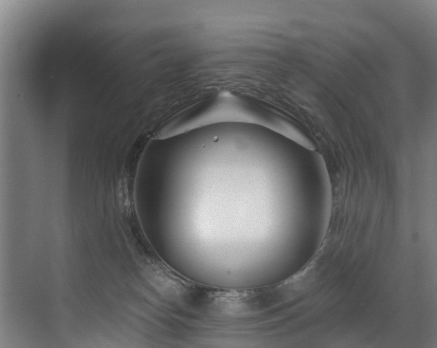 X0000073420182200607281202