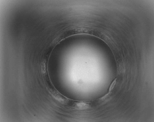 X0000073420183200607281202