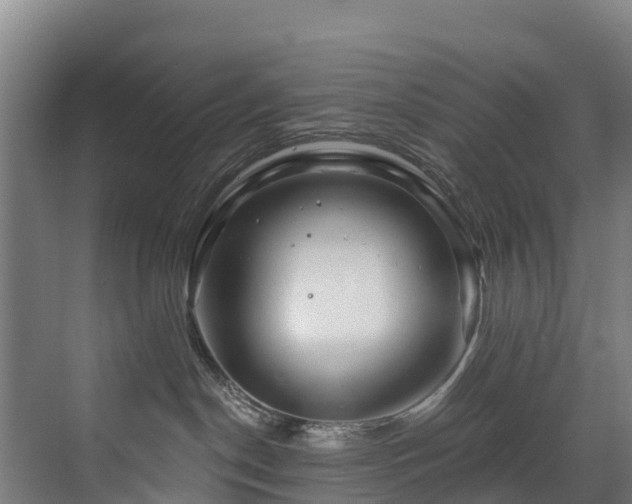 X0000073420190200607281202