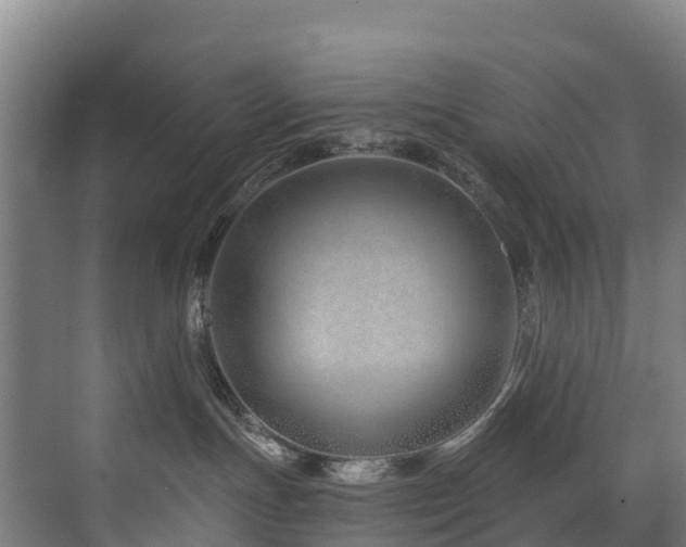 X0000073420191200607281202