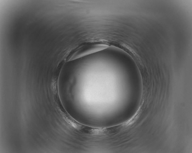 X0000073420192200607281202