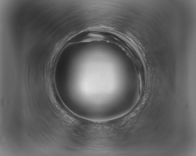 X0000073420193200607281201