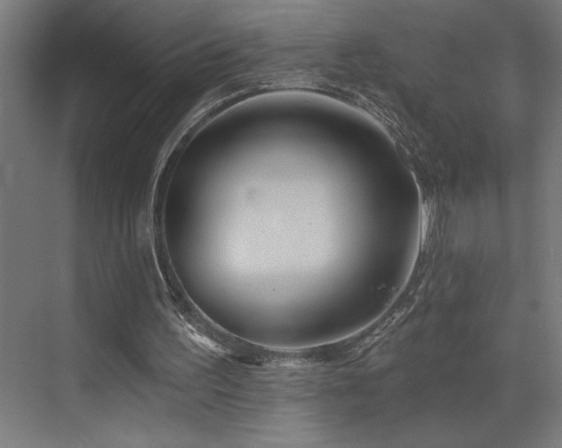 X0000073420195200607281201