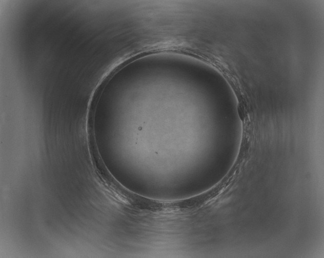 X0000073420196200607281201