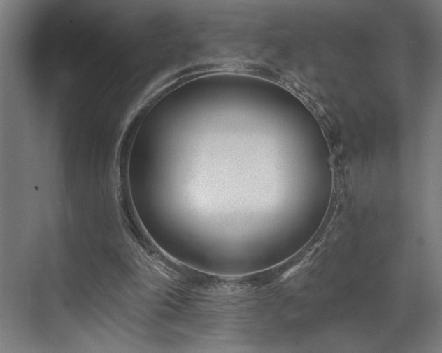 X0000073420198200607281201