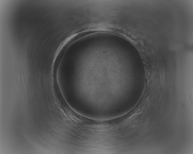 X0000073420200200607281201