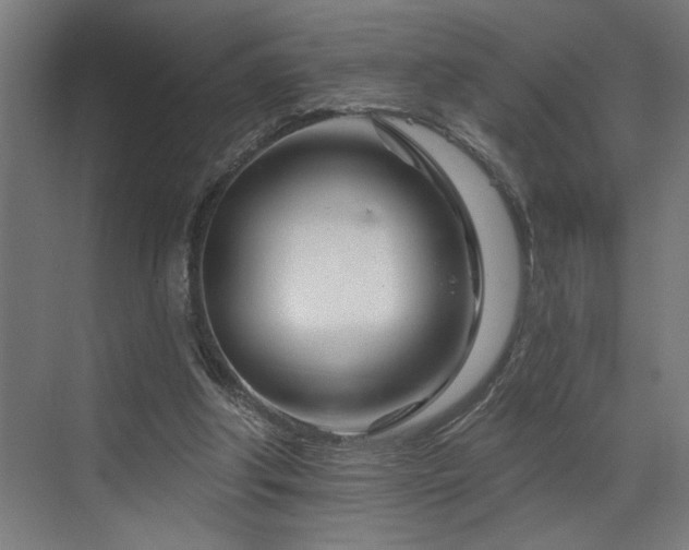 X0000073420202200607281201