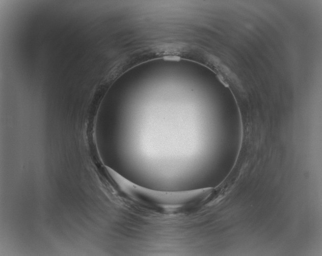 X0000073420209200607281201