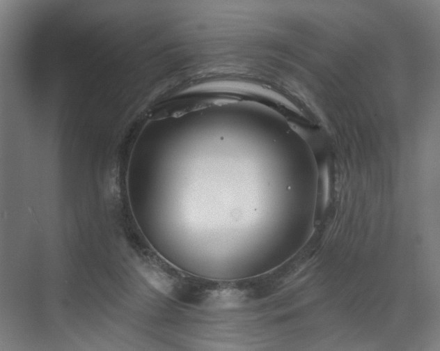 X0000073420212200607281201