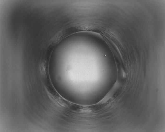 X0000073420214200607281201