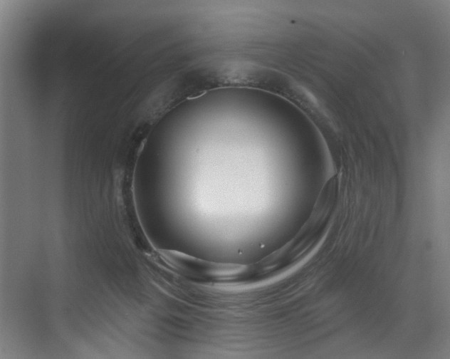 X0000073420217200607281201