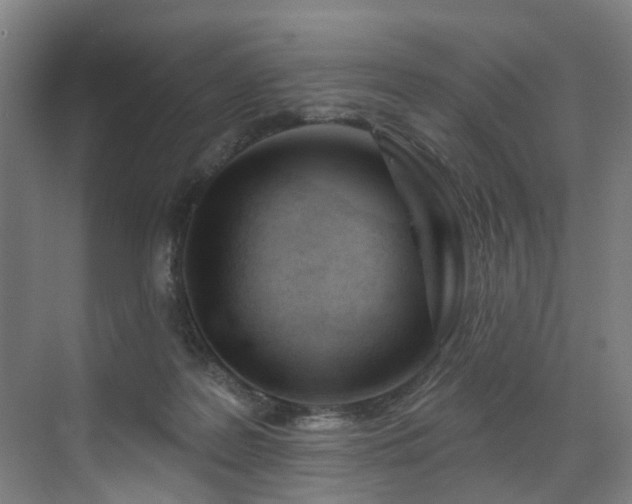 X0000073420219200607281201