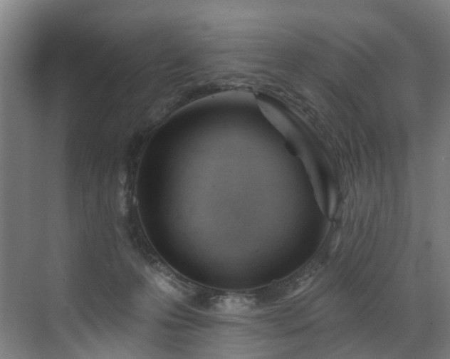 X0000073420223200607281201