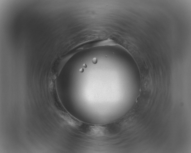 X0000073420226200607281201