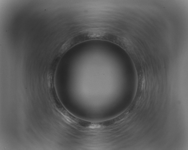 X0000073420227200607281201