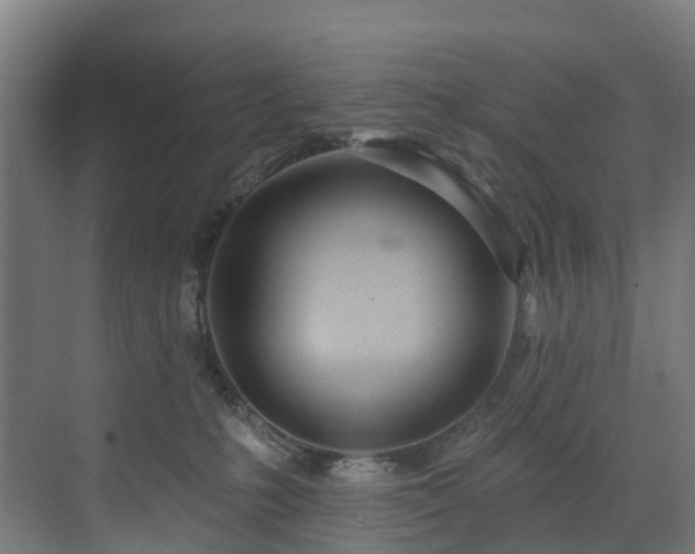 X0000073420231200607281200