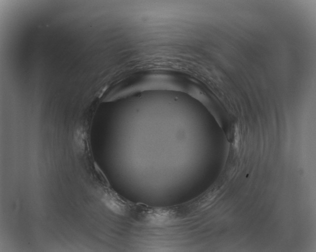 X0000073420235200607281200