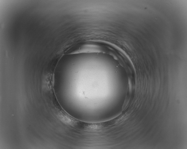 X0000073420237200607281200