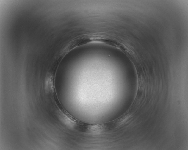 X0000073420238200607281200