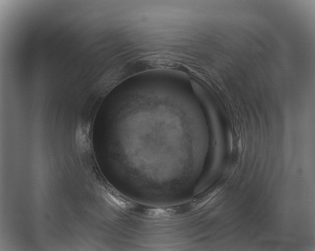 X0000073420239200607281200