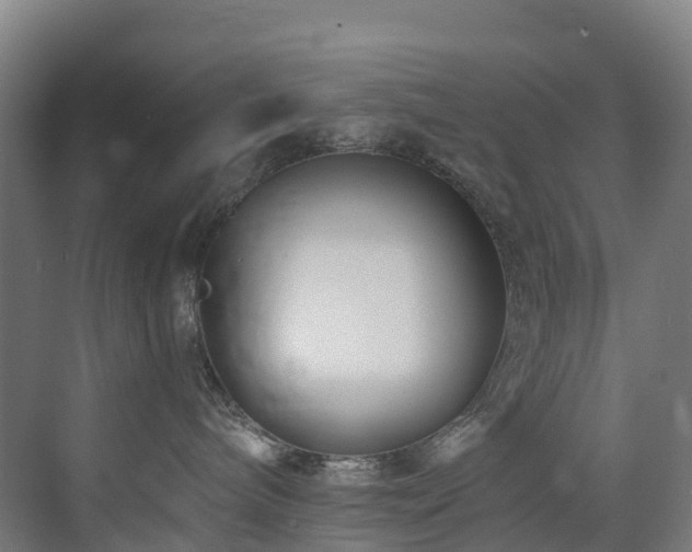 X0000073420240200607281200