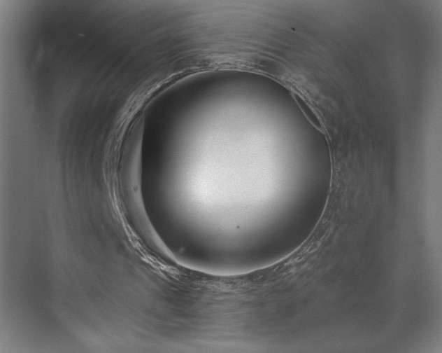 X0000073420241200607281159