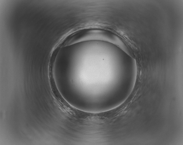 X0000073420244200607281200