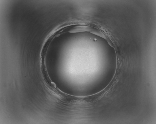 X0000073420246200607281200