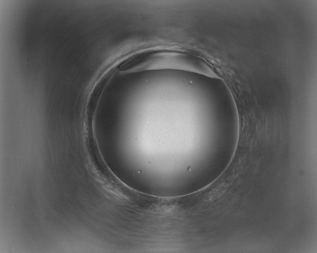 X0000073420247200607281200