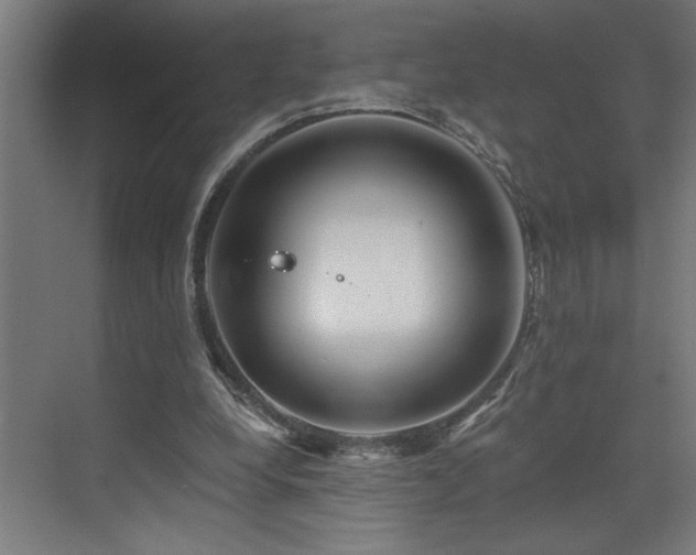 X0000073420248200607281200