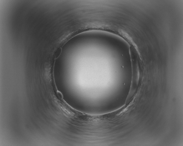 X0000073420249200607281200