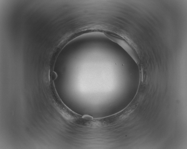 X0000073420253200607281200