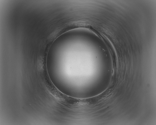 X0000073420255200607281200