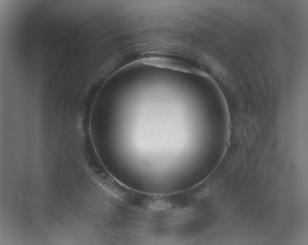 X0000073420258200607281200