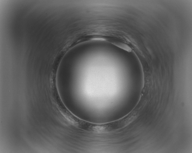 X0000073420265200607281200