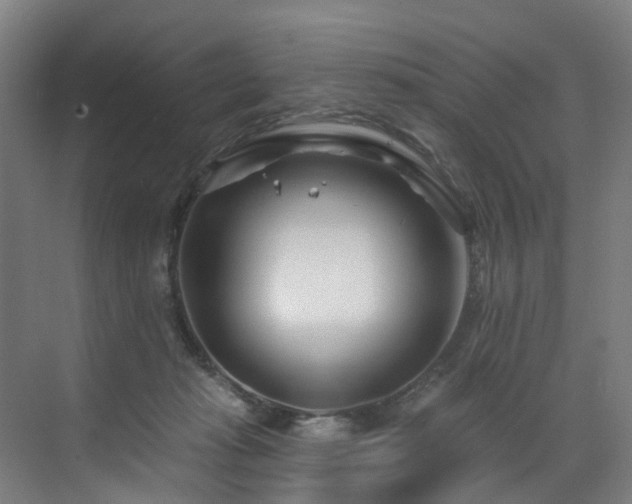 X0000073420269200607281200