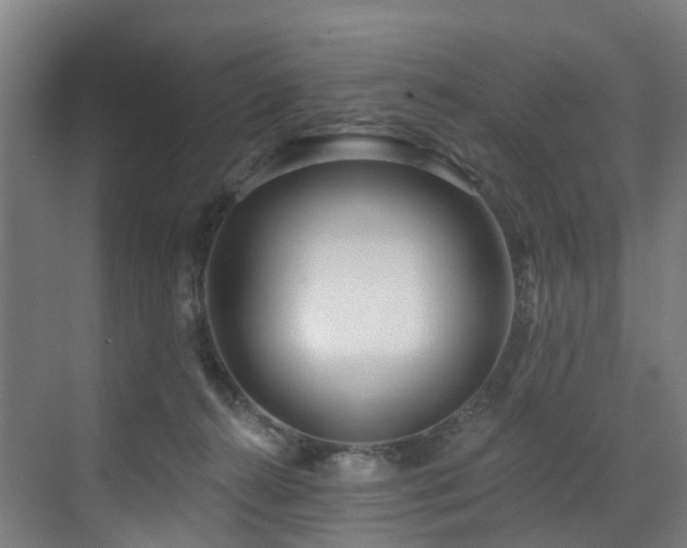 X0000073420272200607281200